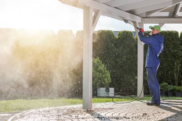 Best Driveway Pressure Washing  in Navasota, TX