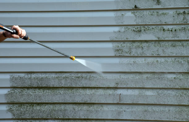 Best Patio and Deck Pressure Washing  in Navasota, TX