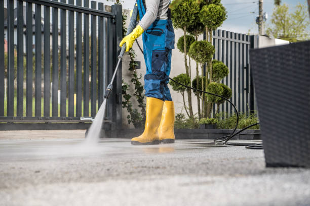 Best Sidewalk and Walkway Cleaning  in Navasota, TX